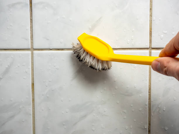 Best Affordable Mold Removal  in Biddeford, ME